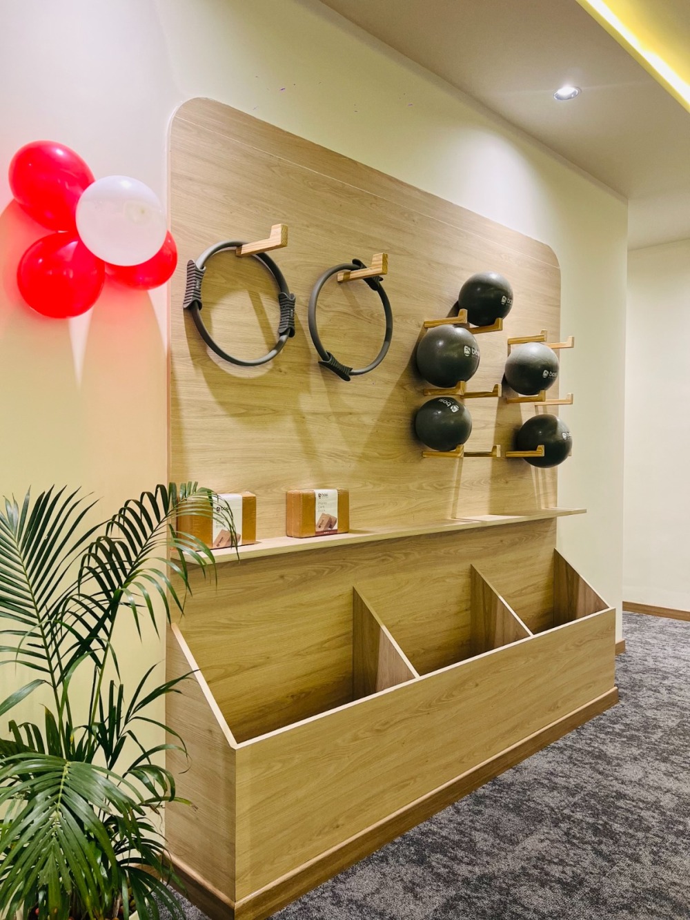 BASI Pilates Studio Gallery